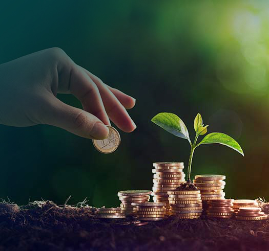 gro-wealth-group-of-companies