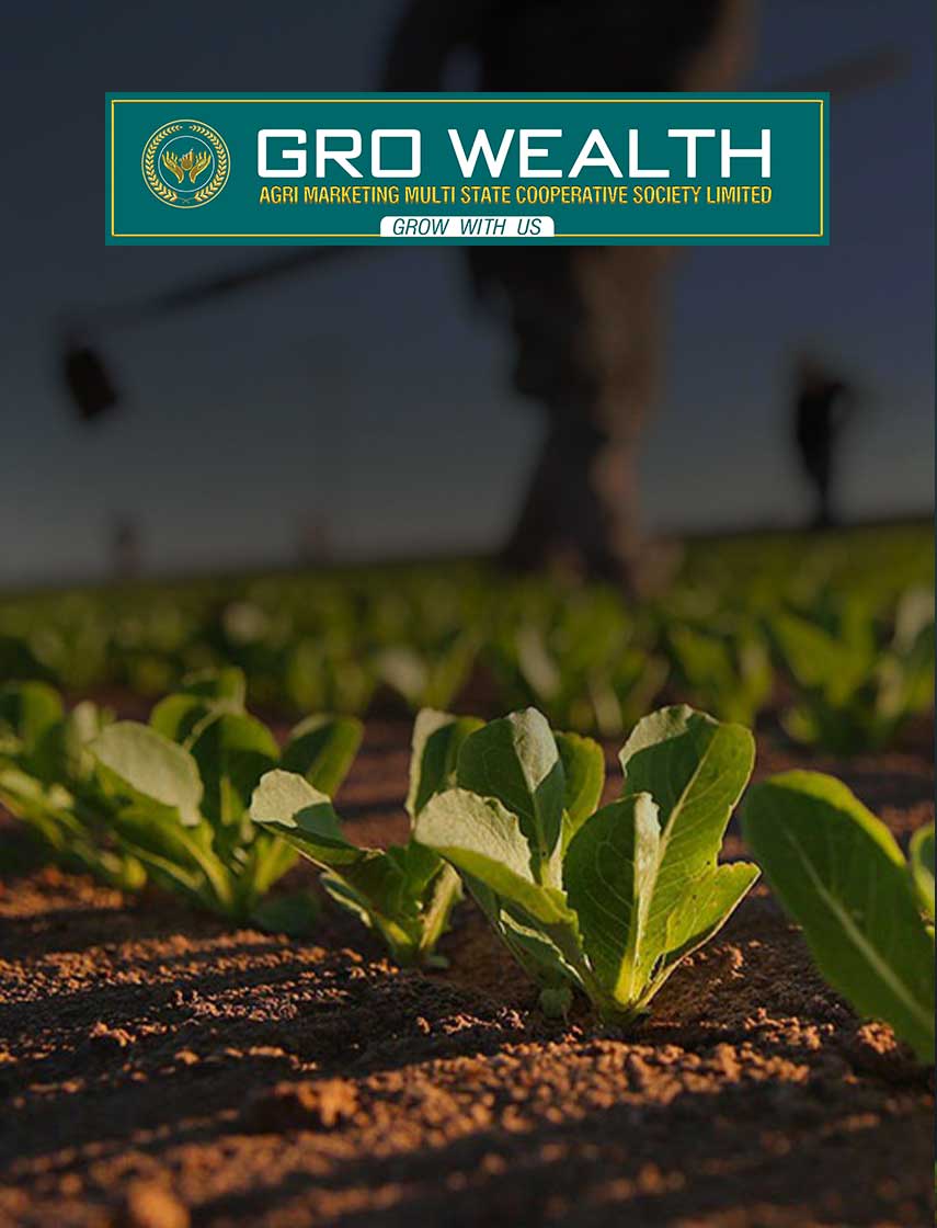 growealthgroup-companies